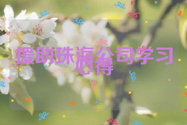 援助珠海公司学习心得
