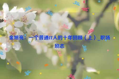 金旭亮：一个普通IT人的十年回顾（上）_职场励志