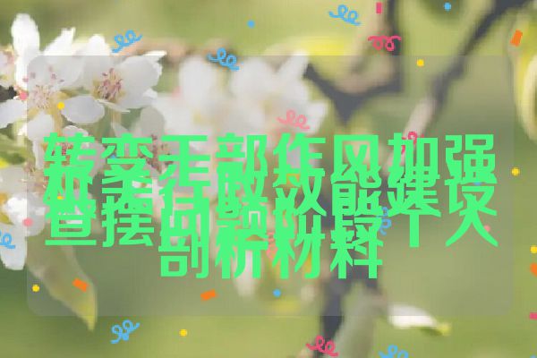 转变干部作风加强机关行政效能建设查摆问题阶段个人剖析材料
