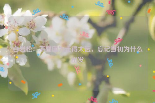 白岩松：不要因为走得太远，忘记当初为什么出发