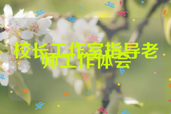 校长工作室指导老师工作体会