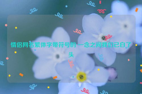 情侣网名繁体字带符号的 一念之间我们已白了头