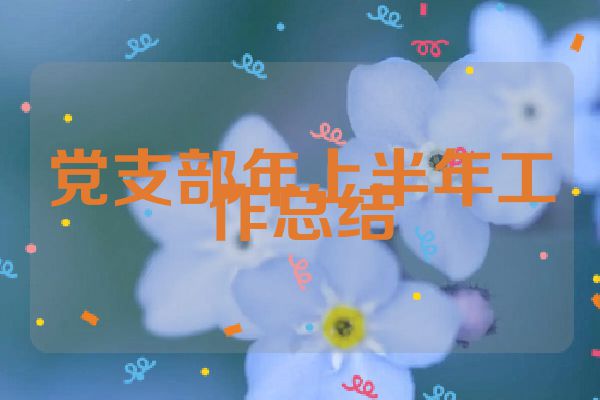 党支部年上半年工作总结