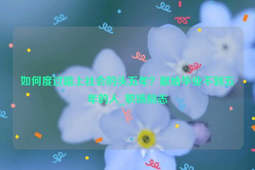 如何度过踏上社会的头五年？献给毕业不到五年的人_职场励志