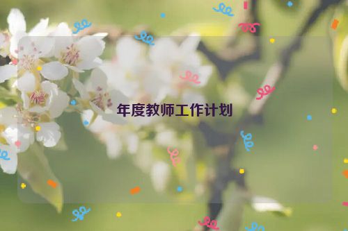 年度教师工作计划