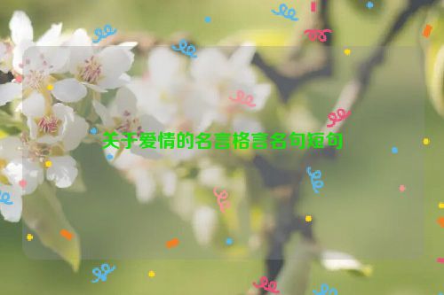 关于爱情的名言格言名句短句