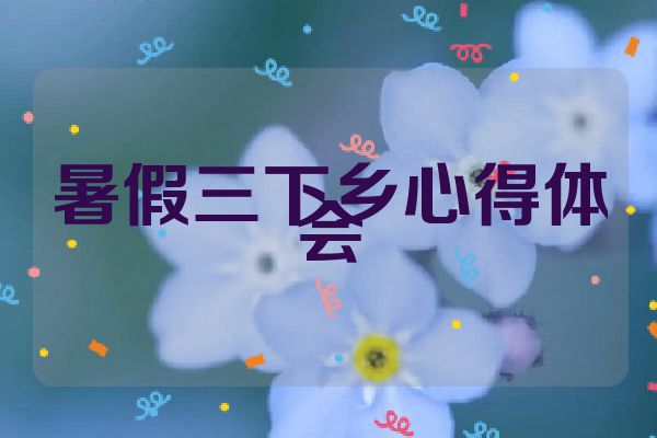 暑假三下乡心得体会