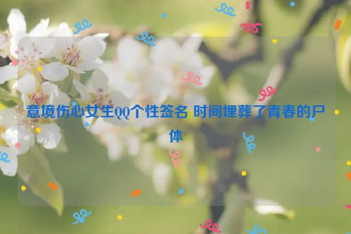 意境伤心女生QQ个性签名 时间埋葬了青春的尸体
