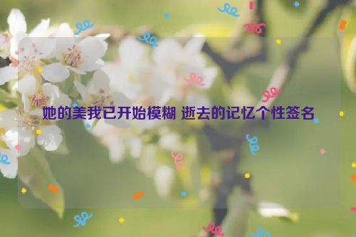 她的美我已开始模糊 逝去的记忆个性签名