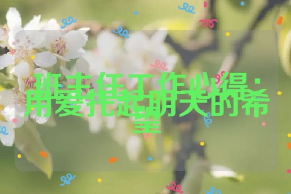 班主任工作心得：用爱托起明天的希望