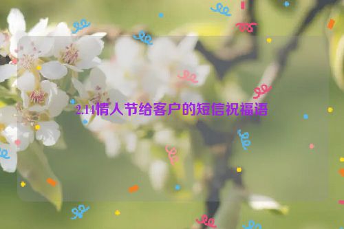 2.14情人节给客户的短信祝福语