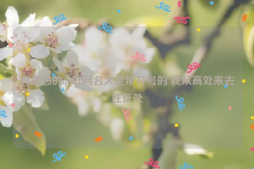 有意思的qq群网名大全带符号的 我从高处来去往低处