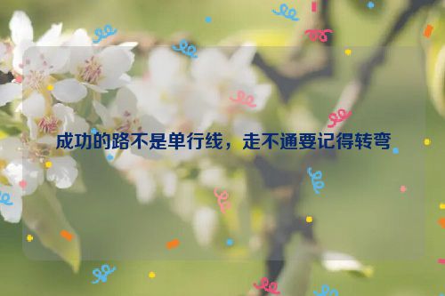 成功的路不是单行线，走不通要记得转弯