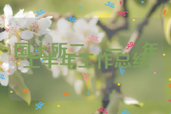 国土所二�一�年上半年工作总结
