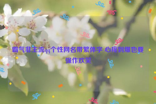 霸气非主流qq个性网名带繁体字 心疼到爆也要强作欢笑