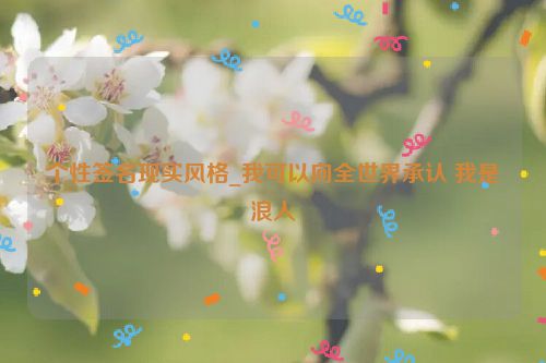 个性签名现实风格_我可以向全世界承认 我是浪人