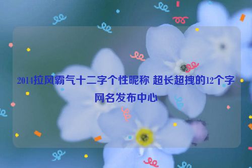 2014拉风霸气十二字个性昵称 超长超拽的12个字网名发布中心
