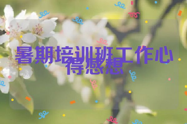 暑期培训班工作心得感想