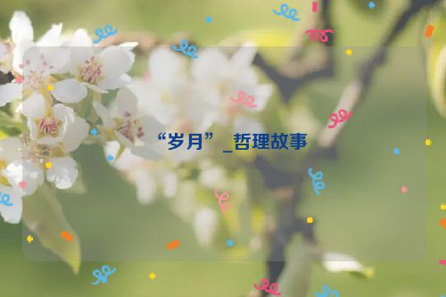 “岁月”_哲理故事