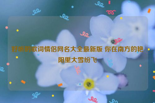 好听的歌词情侣网名大全最新版 你在南方的艳阳里大雪纷飞