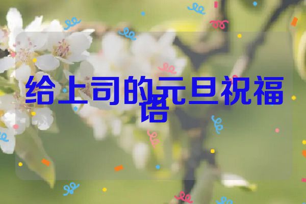 给上司的元旦祝福语