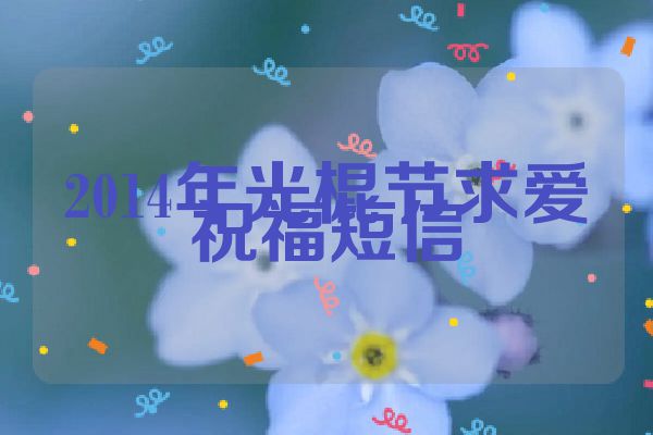 2014年光棍节求爱祝福短信