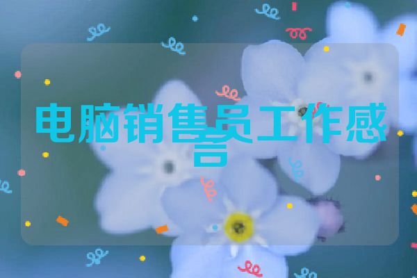 电脑销售员工作感言