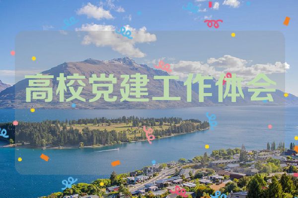 高校党建工作体会