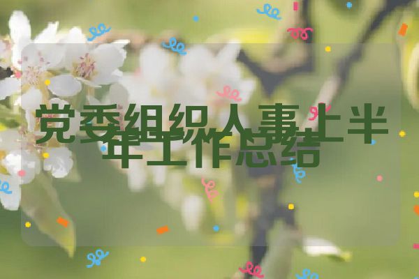 党委组织人事上半年工作总结