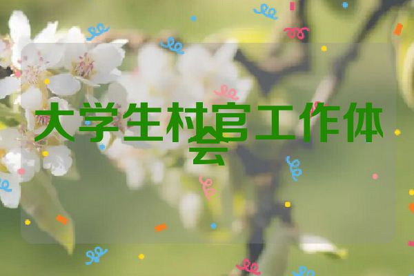 大学生村官工作体会