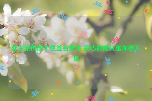 非主流伤感个性签名男生 我心很痛只是你看不见