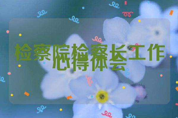 检察院检察长工作心得体会