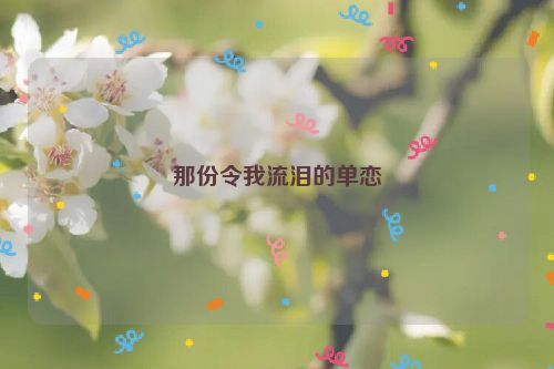 那份令我流泪的单恋