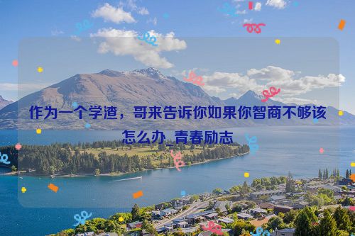 作为一个学渣，哥来告诉你如果你智商不够该怎么办_青春励志
