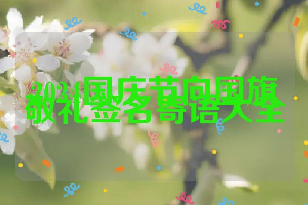 2024国庆节向国旗敬礼签名寄语大全