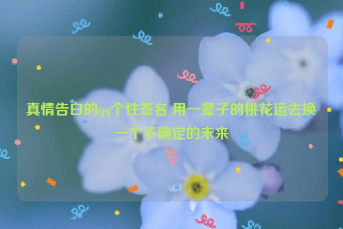 真情告白的qq个性签名 用一辈子的桃花运去换一个不确定的未来