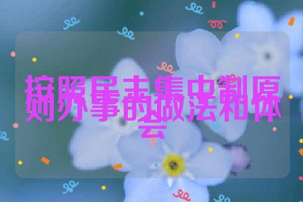 按照民主集中制原则办事的做法和体会