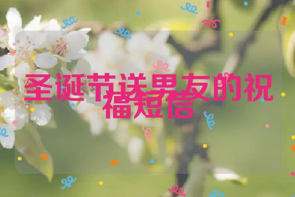 圣诞节送男友的祝福短信