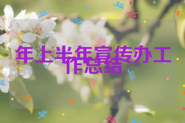 年上半年宣传办工作总结