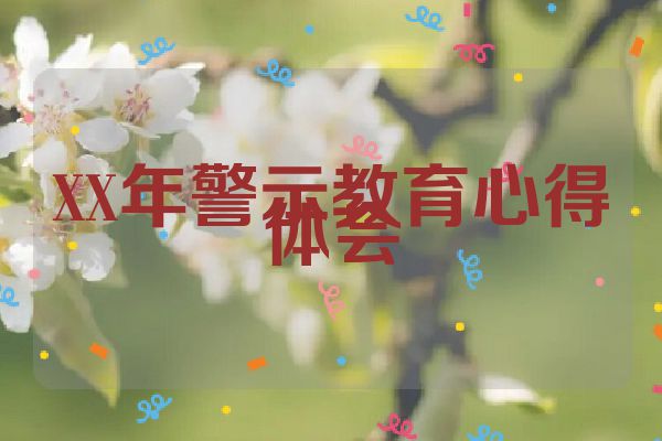 XX年警示教育心得体会