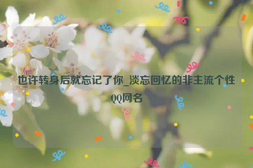也许转身后就忘记了你_淡忘回忆的非主流个性QQ网名