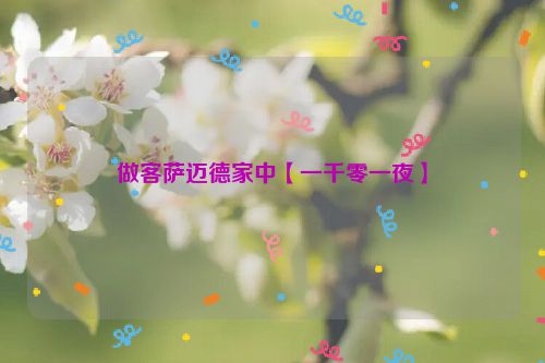 做客萨迈德家中【一千零一夜】