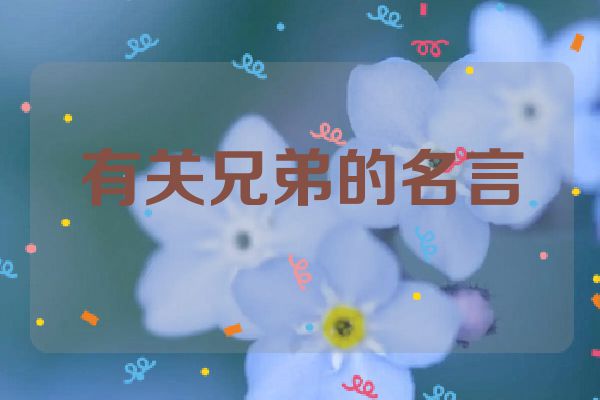 有关兄弟的名言
