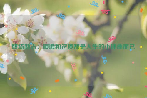 职场励志：顺境和逆境都是人生的小插曲而已
