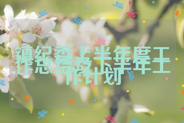 镇纪委上半年度工作总结及下半年工作计划