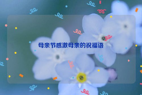 母亲节感激母亲的祝福语