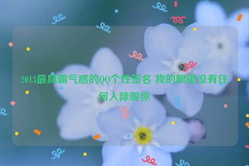 2013最具霸气感的QQ个性签名 我的眼里没有任何人除呢你