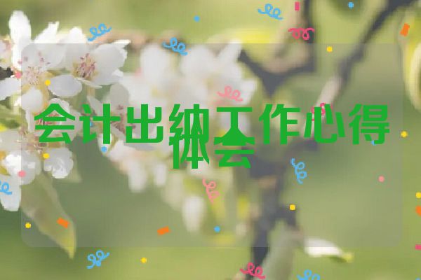 会计出纳工作心得体会