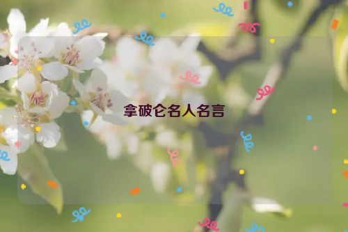 拿破仑名人名言