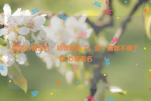 微信心情签名：别怪他走了，他一直都不属于你-心情签名